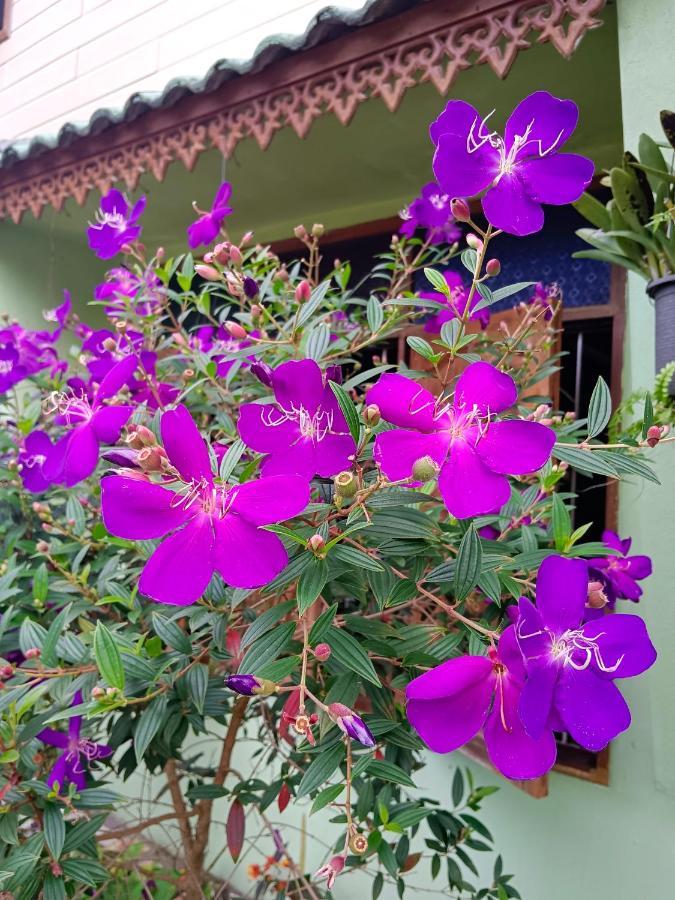 4 Seasons Mini House Hotel Nakhon Si Thammarat Ngoại thất bức ảnh