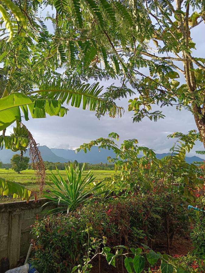 4 Seasons Mini House Hotel Nakhon Si Thammarat Ngoại thất bức ảnh