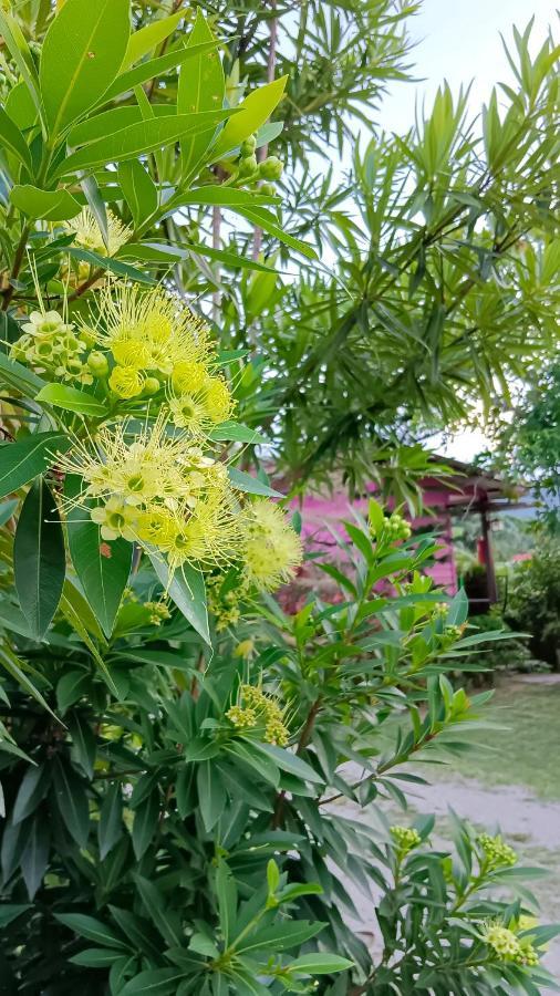 4 Seasons Mini House Hotel Nakhon Si Thammarat Ngoại thất bức ảnh