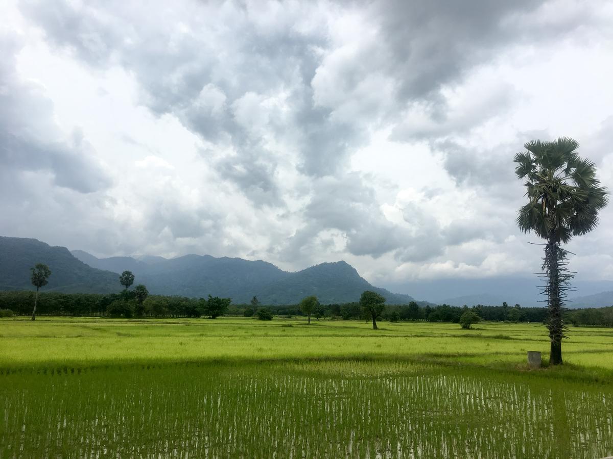 4 Seasons Mini House Hotel Nakhon Si Thammarat Ngoại thất bức ảnh