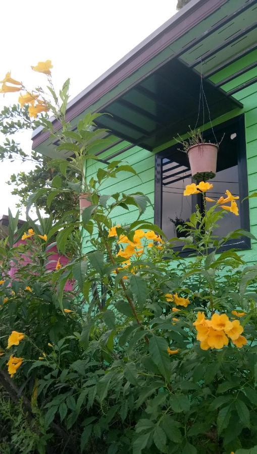 4 Seasons Mini House Hotel Nakhon Si Thammarat Ngoại thất bức ảnh