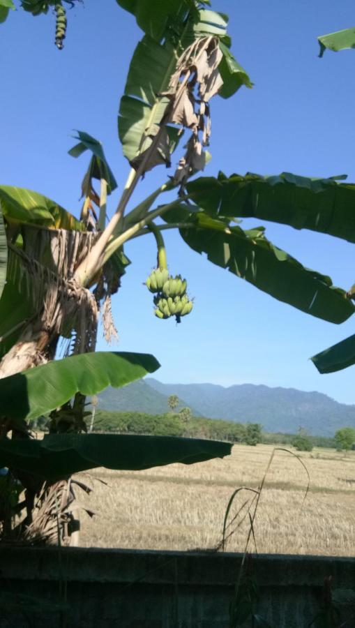 4 Seasons Mini House Hotel Nakhon Si Thammarat Ngoại thất bức ảnh